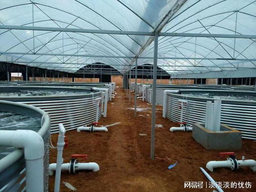 攜手長(zhǎng)辰漁業(yè) 探索工廠化養(yǎng)殖的變革之路與核心技術(shù)發(fā)展